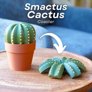 简易仙人球杯垫可伸缩压扁茶包糖包收纳盒