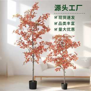 仿真植物秋色福禄桐树尤加利叶金钱叶树室内落地盆景北欧风装饰