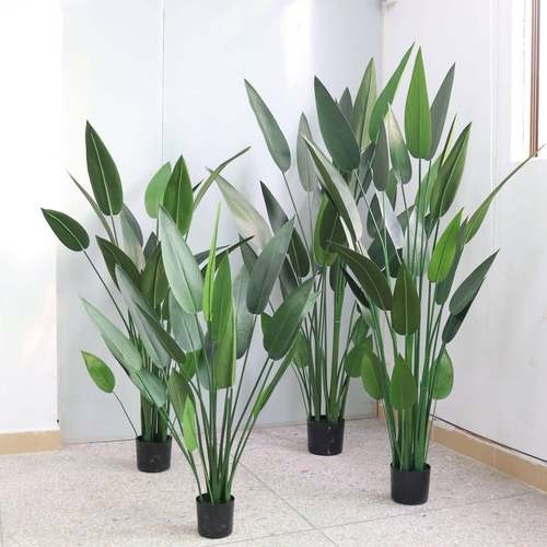 仿真植物美人蕉盆景天堂鸟植物盆栽室内假花摆件客厅落地饰品现货