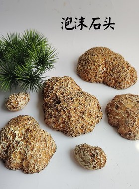 仿真沙滩石造景苔藓泡沫黄色道具石头摆件轻室内橱窗装饰石块岩石
