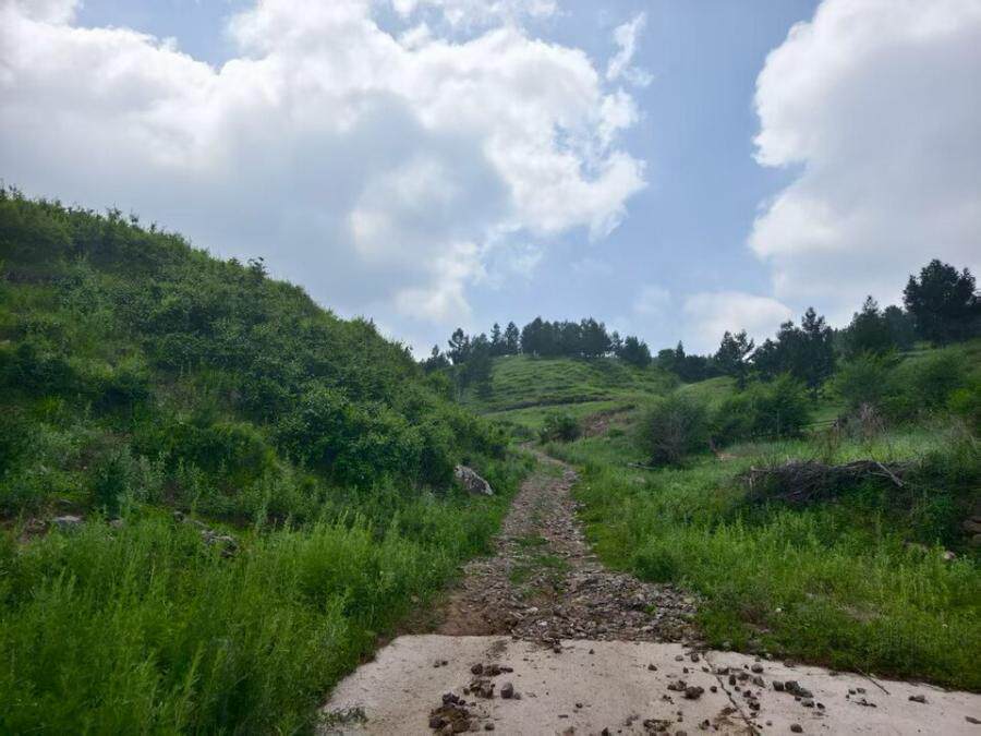 内蒙古自治区赤峰市松山区老府镇东杖房村山咀南山林权