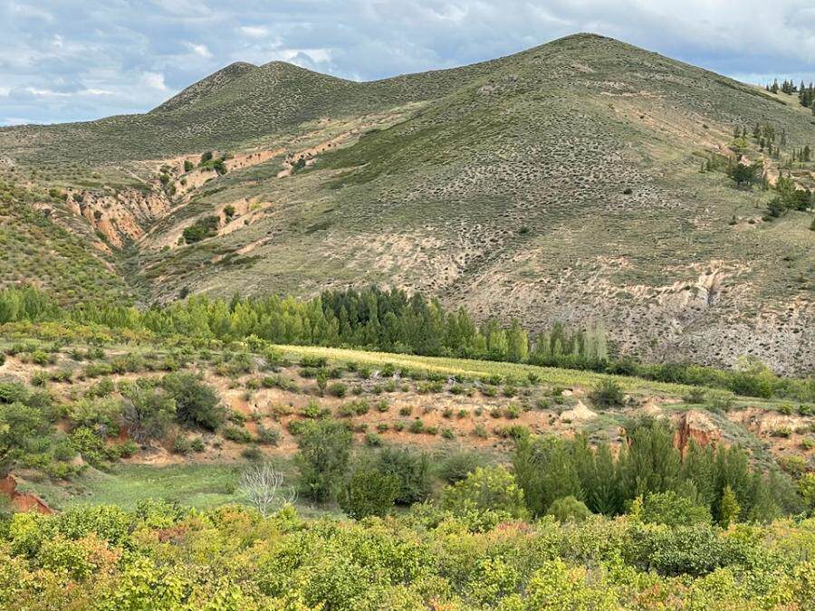 内蒙古自治区赤峰市松山区城子乡阿戈府村胡北沟阴坡林权