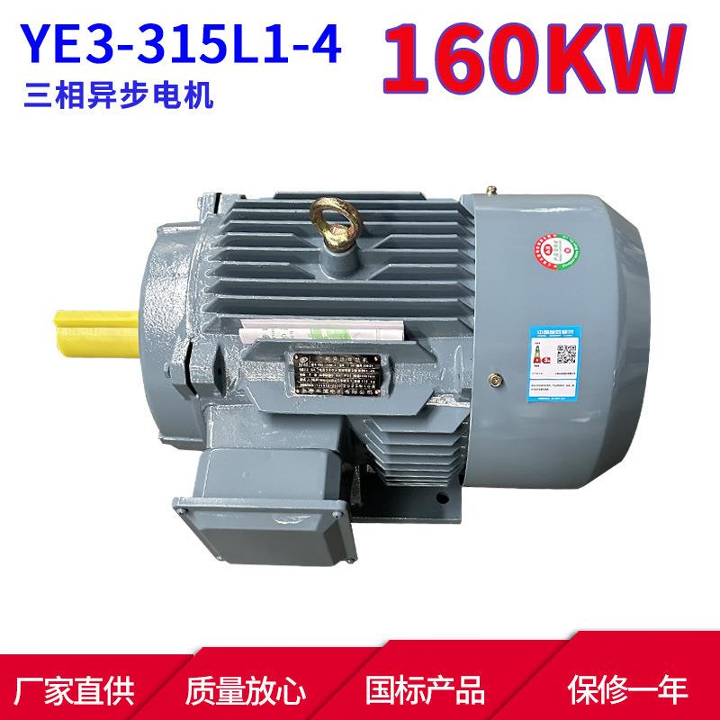 YE3系列三相异步电动机YE3-315L1-4160W4极三相异步电机马达