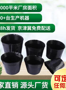 黑色塑料育苗盆育苗杯花卉种植一次性花盆营养杯营养钹