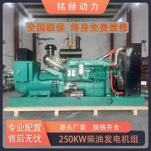 250kw柴油发电机组P10发动机全铜无刷四保护出口非洲工地常用电源