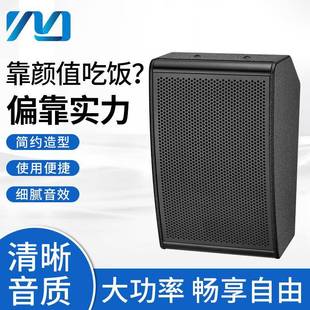 专业壁挂式 会议音箱会议室多功能室语言类专用音箱