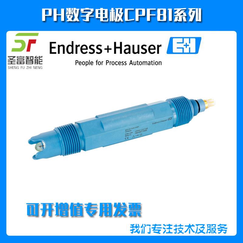 模拟式pH电极CPF81-NN11C2