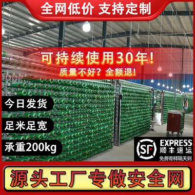 建筑安全网阻燃密目网工地工程电梯网防尘网防护网绿色加厚防坠网