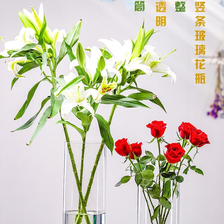 直筒大小玻璃瓶插花宽口落地水养网红客厅大号富贵竹透明花瓶摆件
