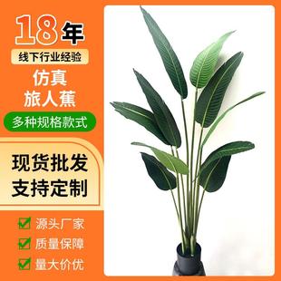 北欧仿真绿植旅人蕉盆栽美人蕉绿植大型家居落地装 饰植物摆件假树