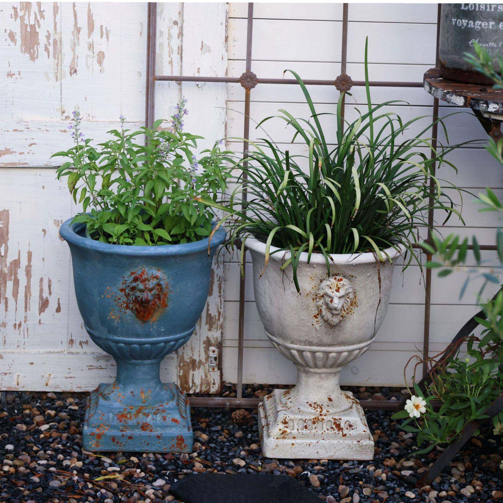 陌上花舍ing经典复古做旧奖杯花盆狮子头动物户外花园装饰摆件,纺织面料/辅料/配套,纺织机械配件,淘宝优惠券,粉丝福利购,淘宝优惠卷