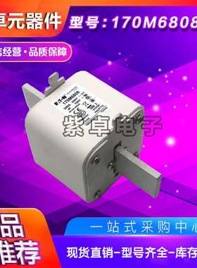 170M6697 170M6698 170M6699 170M6700 170M6701伊顿巴斯曼熔断器