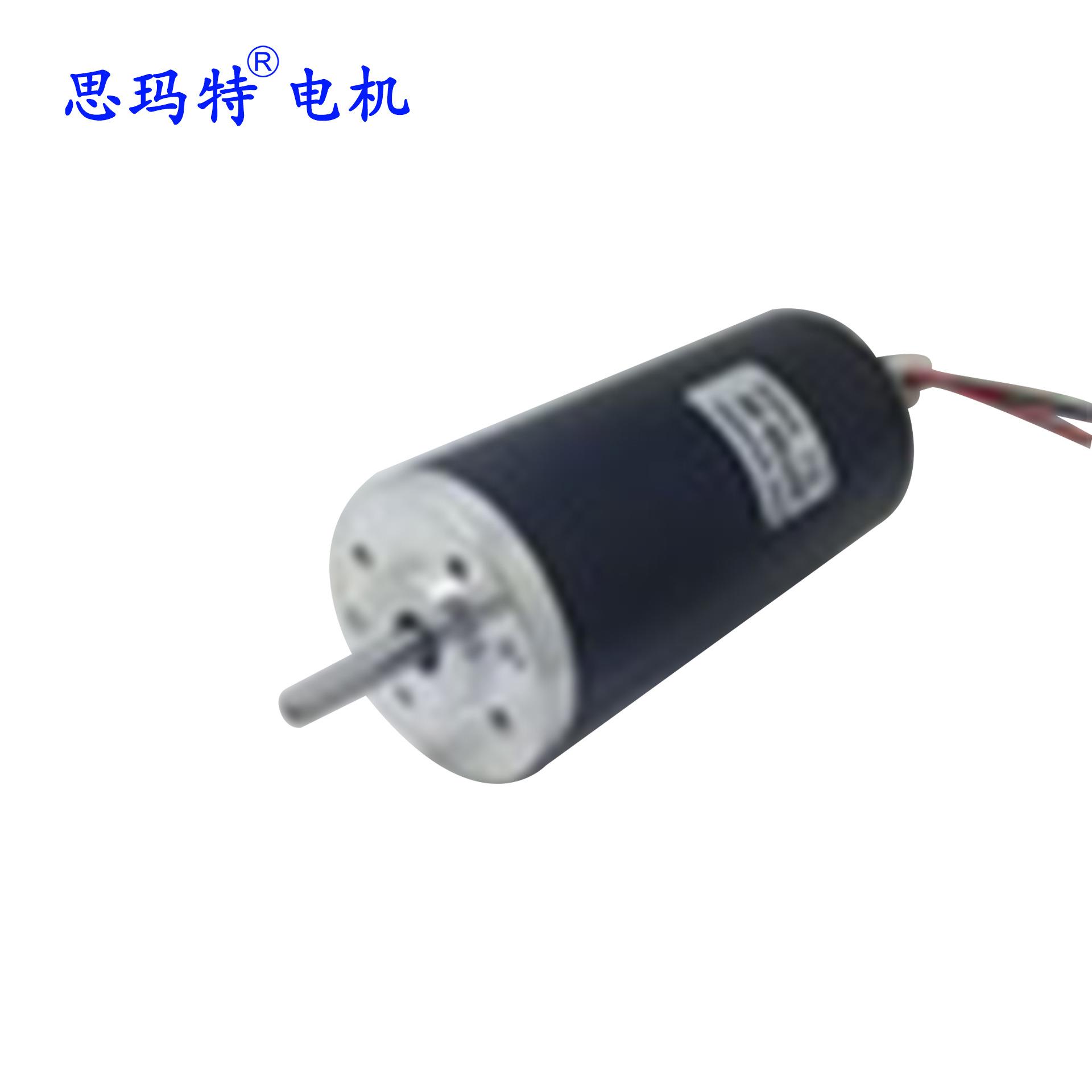 52ZYT02B直径52mm永磁直流电机高转速12v24v10000rpm200w