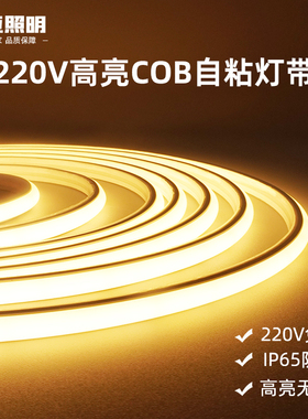 硅胶柔性COB灯带 家用氛围自粘免驱线性灯 220V户外防水LED灯条