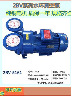 供应2BV型水环式真空泵液环式真空泵高真空度电动真空泵南京