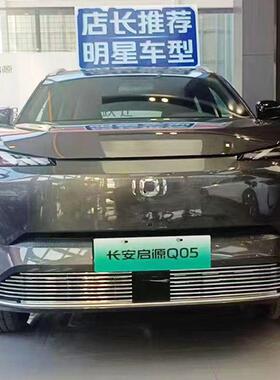 长安启源-Q05前脸中网外观改装件专用装饰亮条防虫网汽车用品配件