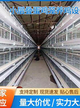 小层叠蛋鸡笼养鸡设备立体式阶梯式蛋鸡笼养殖场三层四层备育雏笼