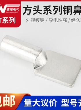 DT-630支线箱铜鼻子方头无孔直板设备接线不带螺丝孔A级镀锡