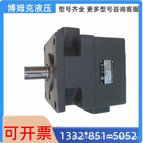 仙居永灵YLC液压中压叶片泵YB1-63YB1-80YB1-100504031.525