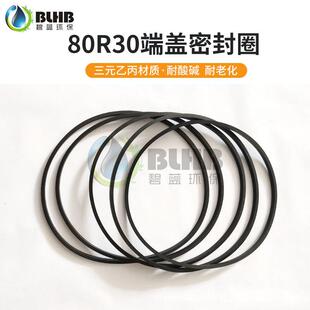 工业纯水中水回用水处理80R30反渗透膜壳封头堵头端盖密封圈水封