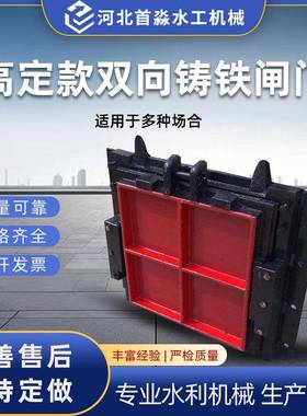 铸铁闸门液压密封防倒灌闸门水利单双向止水镶铜铸铁闸门