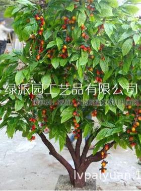 仿真荔枝树果树枝逼真果实客厅装饰花摆件假水果户外假柿子树干花