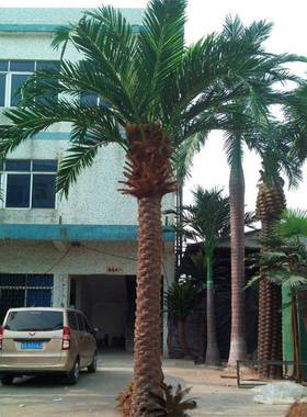 仿真海藻树图片海藻树价格室内外海藻树人造海藻树直销