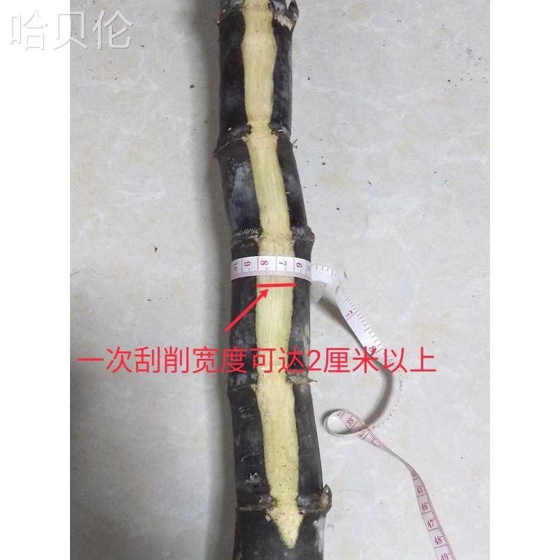 电动刮甘蔗机削皮机刮甘蔗神器甘蔗削皮刀刮皮刀削皮器刮皮器