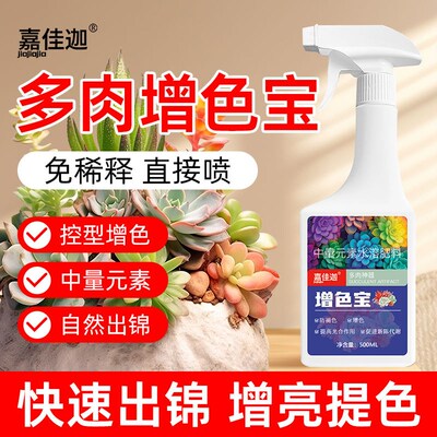 多肉出锦药水增色宝出锦素催芽生根矮胖素防徒长专用营养液优芽素