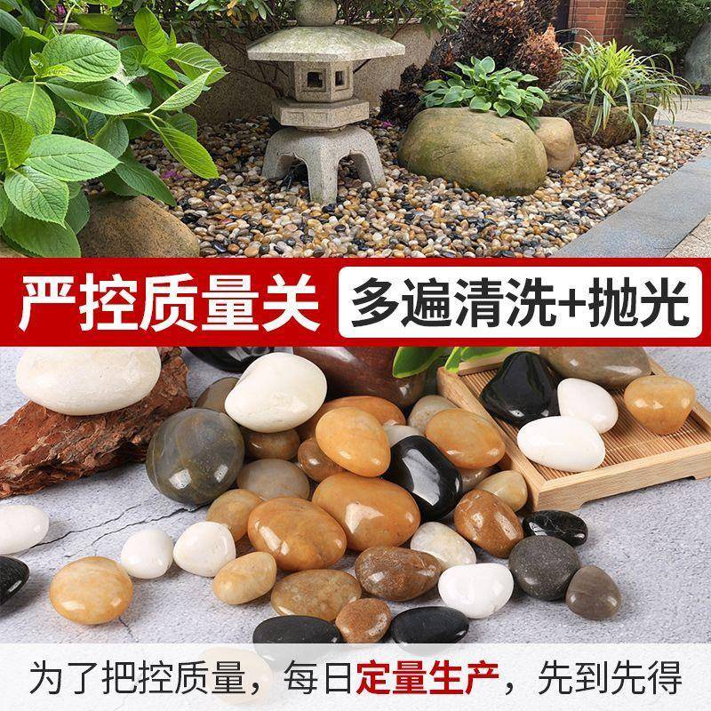 150斤鹅卵石小石头五彩庭院铺垫鱼缸造景雨花石阳台石头铺地