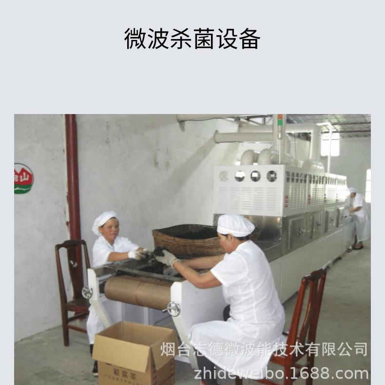 微波腊肉烘干设备 肉制品脱脂微波机 牛肉干微波烘干灭菌机食品
