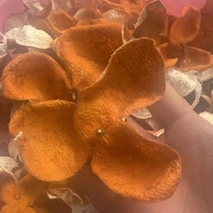 冬后大红陈皮皮浦北陈皮广西陈皮自家果园批发广西浦北陈皮精品皮