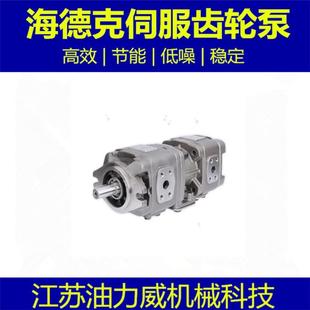 节能伺服泵齿轮泵双联泵高压油泵