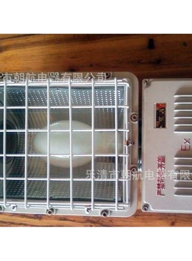 隔爆型泛光灯 BAT52 250W 400W 1000W 方型投光灯 BAD5031/5032.