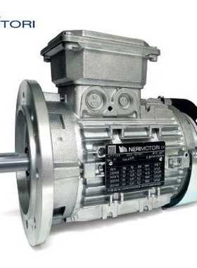 厂家直销意大利NERI电机