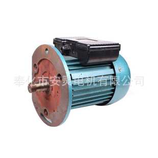 立式 Y系列三相异步电动机 电动机 专业生产Y100
