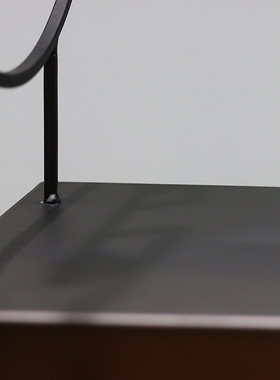 现代简约铁艺花架搭配桌面花瓶花盆置物架创意新中式桌面装饰摆件