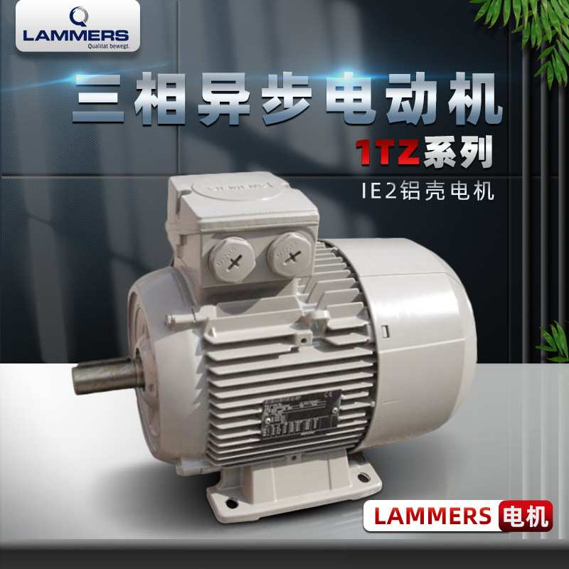 德国电机LAMMERS电机 LAMMERS Motor三相异步电动机