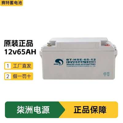赛特蓄电池BT-HSE-65-12 太阳能 12v65AH 直流屏 UPS电源 蓄电池