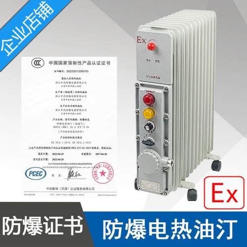 BDN58-2500W防爆电热油汀功率2.5KW13片电压220V防爆电暖气取暖器
