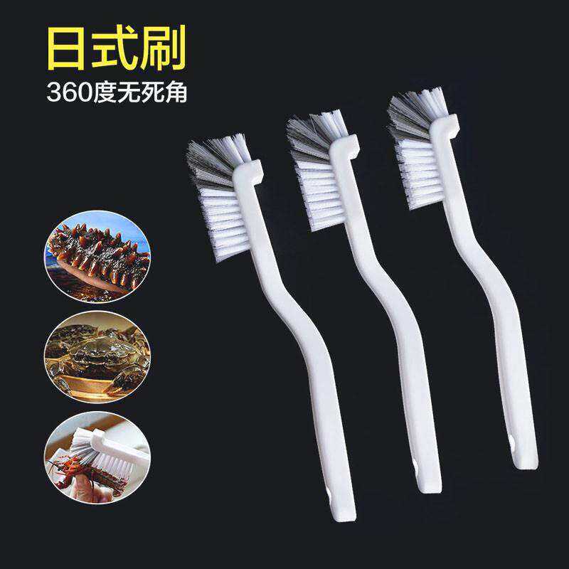 洗螃蟹小刷子清洗神器海参鲍鱼多功能厨房硬毛刷大闸蟹海鲜清洗刷