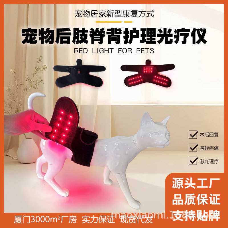 宠物关节理疗服装腰带红外线红光髌骨保健缓解促进血液循环