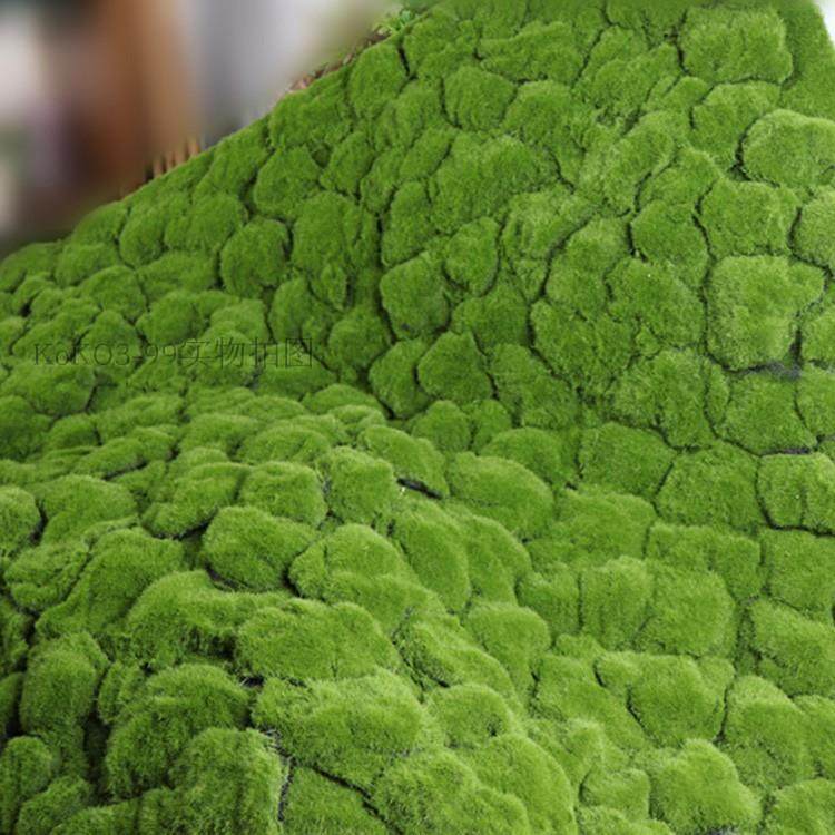 假苔藓仿真青苔藓草皮假草坪盆景铺面假绿植物墙橱窗墙面装饰,农机/农具/农膜,其它农用工具,淘宝优惠券,粉丝福利购,淘宝优惠卷