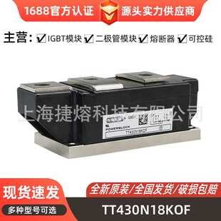 晶闸管 TT500N16KOF 可控硅功率模块 TT430N20KOF TT430N18KOF