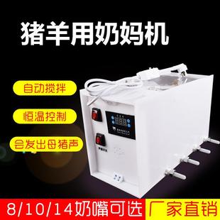 仔猪奶妈机小羊小猪羔羊喂奶器不锈钢恒温妈妈机自动哺乳补奶神器