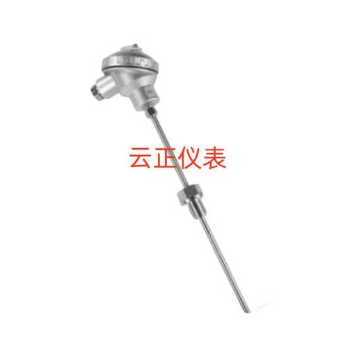 WZP-430F耐腐蚀热电阻温度变送器传感器 L=350*200 Pt100 DN50