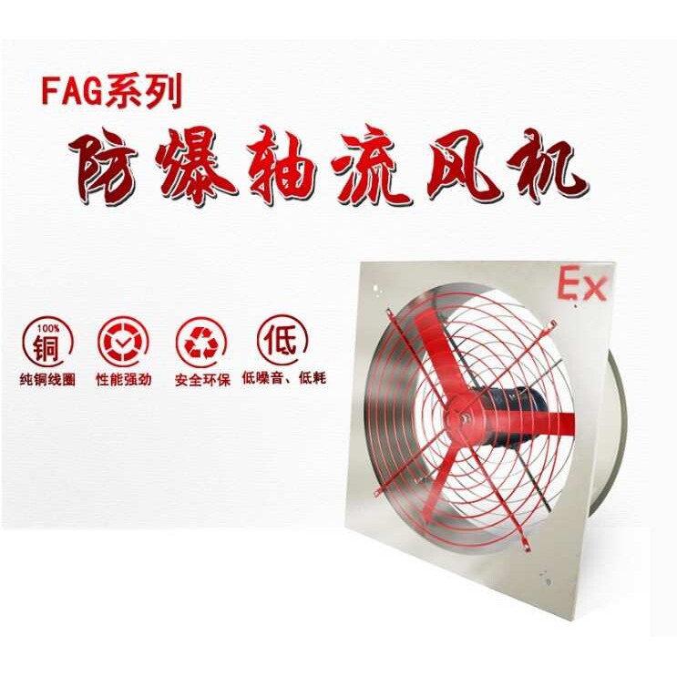 防爆排风扇BFAG/FAG/BFS工业排风扇 隔爆型 网罩式 风筒式