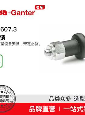Elesa Ganter伊莉莎冈特 GN 607.3 分度销 用于薄壁设备安装