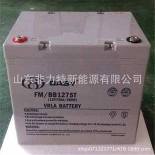 免维护电池 12V65AH机房UPS电源配套电池 鸿贝蓄电池FM BB1265T