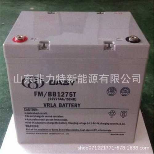 鸿贝蓄电池FM/BB1265T 12V65AH机房UPS电源配套电池 免维护电池